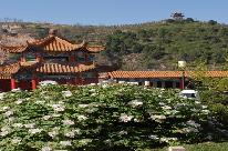 古县网速测试