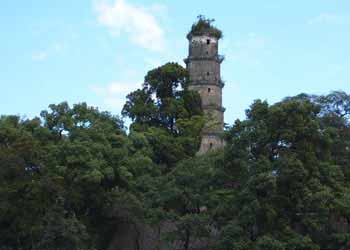 蓝山网速测试